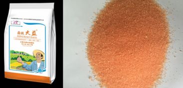 果實(shí)膨果著色正當(dāng)時(shí) 捷農(nóng)新型肥料更高效 組圖