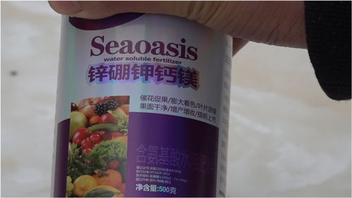 新買(mǎi)的新型肥料,看看有何作用,效果如何