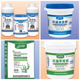 海藻肥功能強(qiáng)大,但不是所有產(chǎn)品效果都一樣 決定因素在于