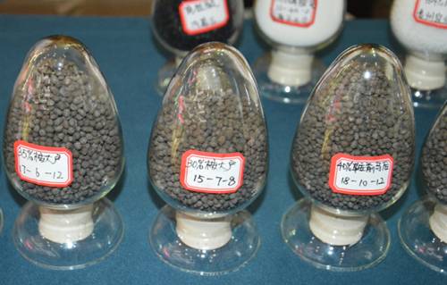 地力下降怎么拯救 桉樹(shù)種植戶看過(guò)來(lái)