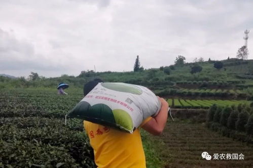 有機農產品與新型肥料