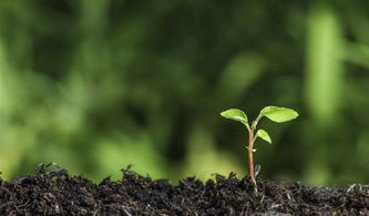 關于有機碳元素增效劑你了解多少