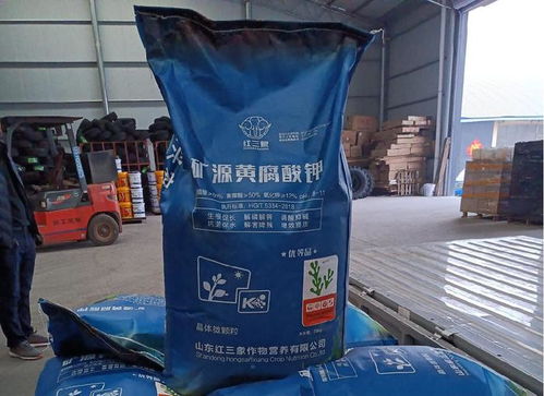 年收超3200萬,80后的她原來是這樣跨界生財的