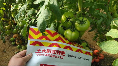 微生物菌肥生產(chǎn)廠家,謹(jǐn)慎選擇