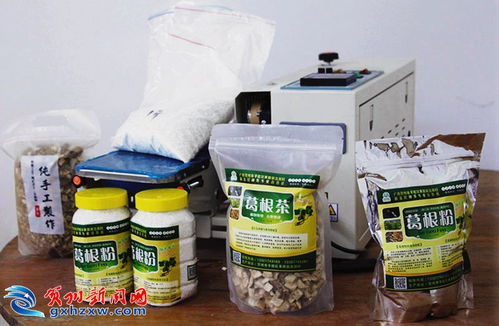 黃田鎮(zhèn)浩洞村 發(fā)展粉葛產(chǎn)業(yè) 助力村民增收