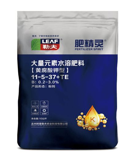 可以生根的大量元素水溶肥