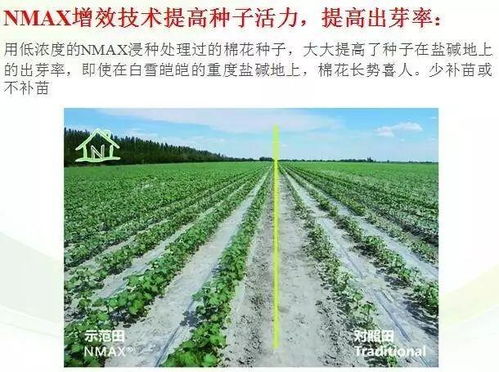 nmax肥料增效劑,肥料升級換代新選擇,趕快報(bào)名免費(fèi)試用啦