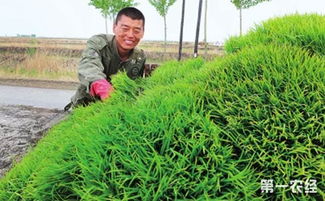 農村又增3項補貼