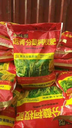 全能胖墩水稻柯杈硅肥,湖南益陽全能胖墩稻立豐