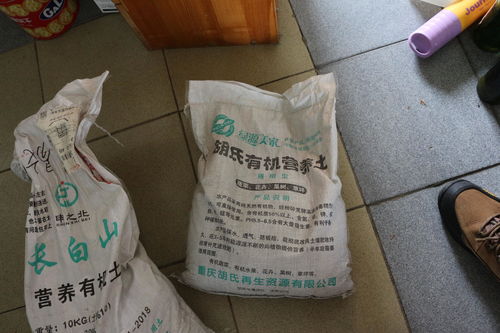 花卉栽培的完美搭配 肥料、土壤與花盆選購指南及新型肥料增效劑解析