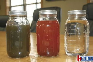 美國(guó)農(nóng)場(chǎng)主創(chuàng)新工藝處理奶牛糞便 實(shí)現(xiàn)降本增效